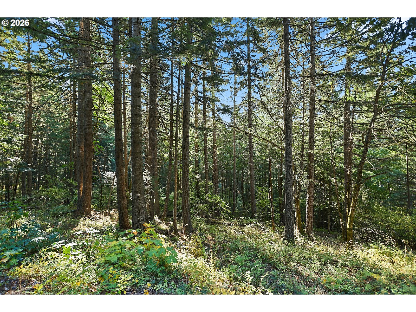 Echo Glen RD