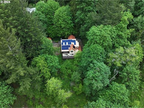 A home in Rhododendron