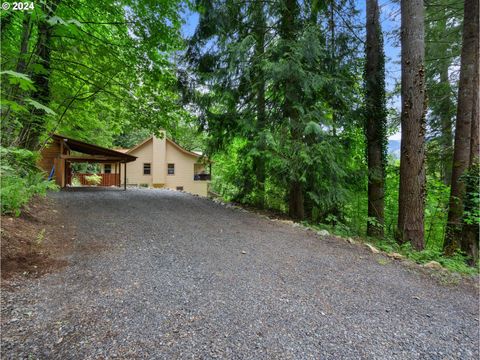 A home in Rhododendron