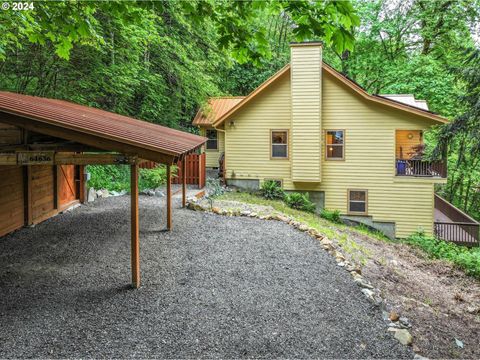 A home in Rhododendron