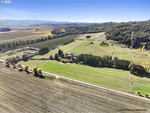 Photo of 17300 SW Muddy Valley Rd, McMinnville, OR 97128 (MLS # 452497993)