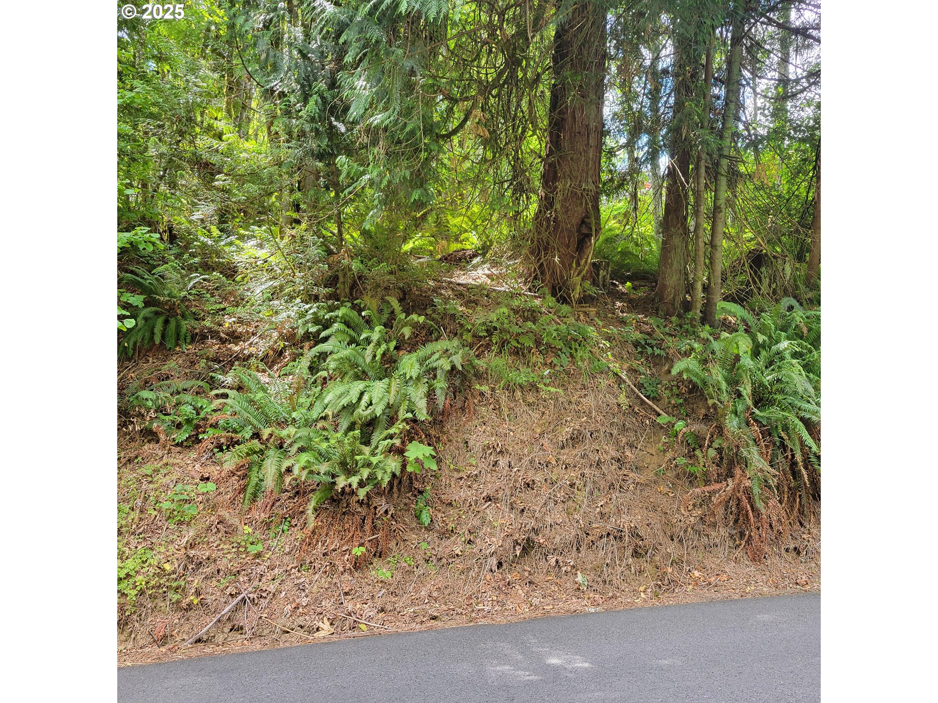 Coal Creek RD