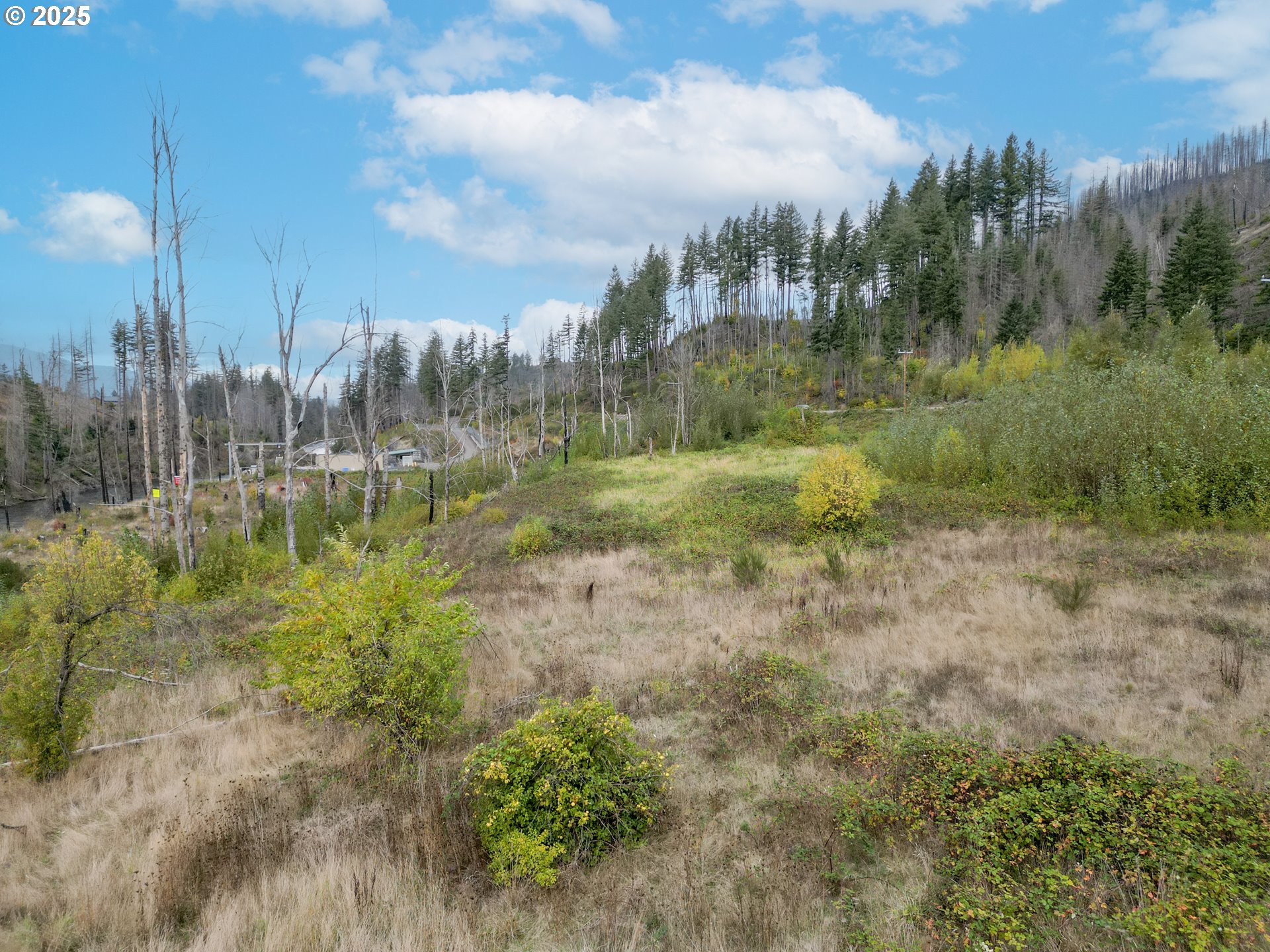 35220 N SANTIAM HWY SE