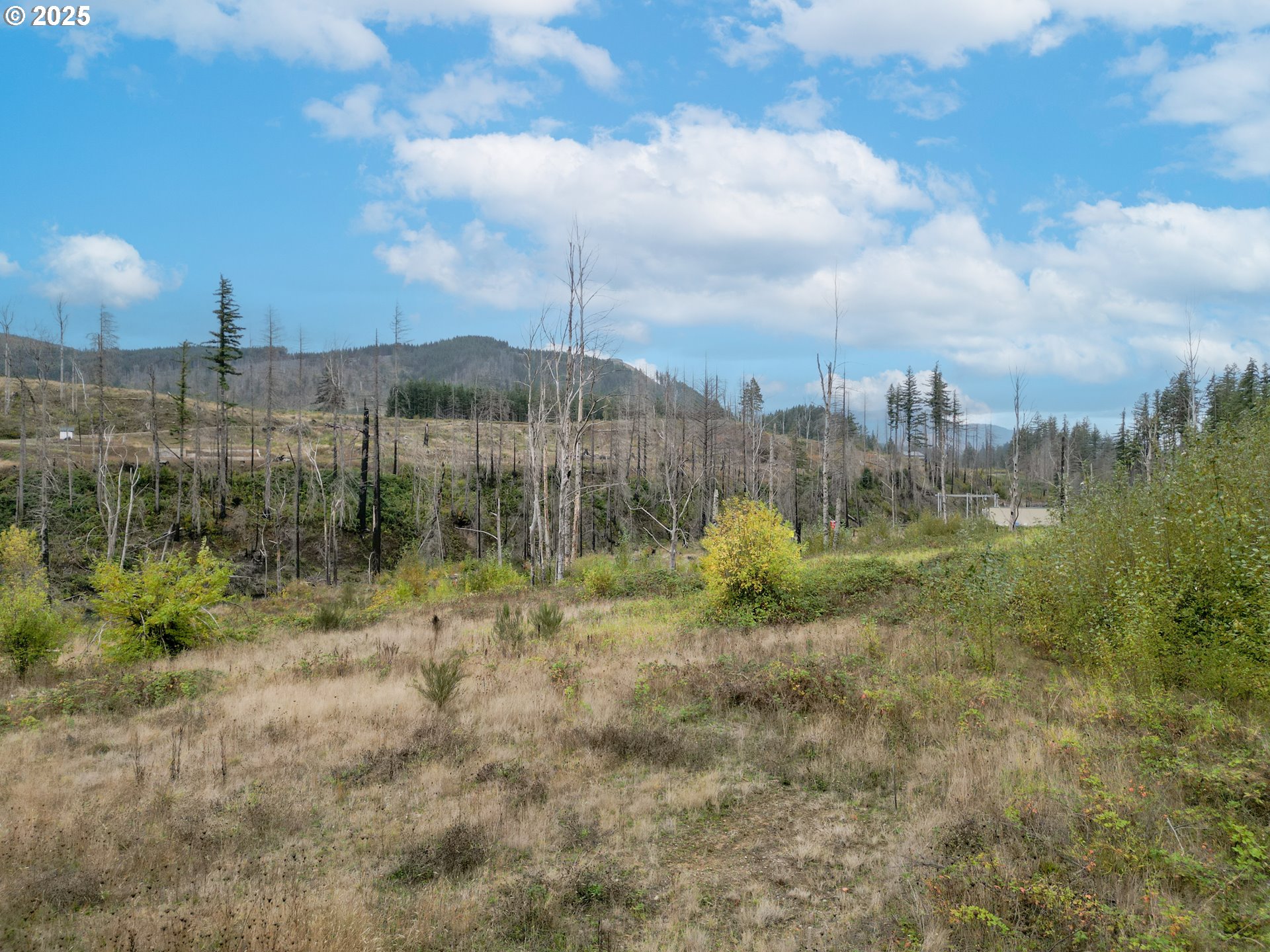 35220 N SANTIAM HWY SE