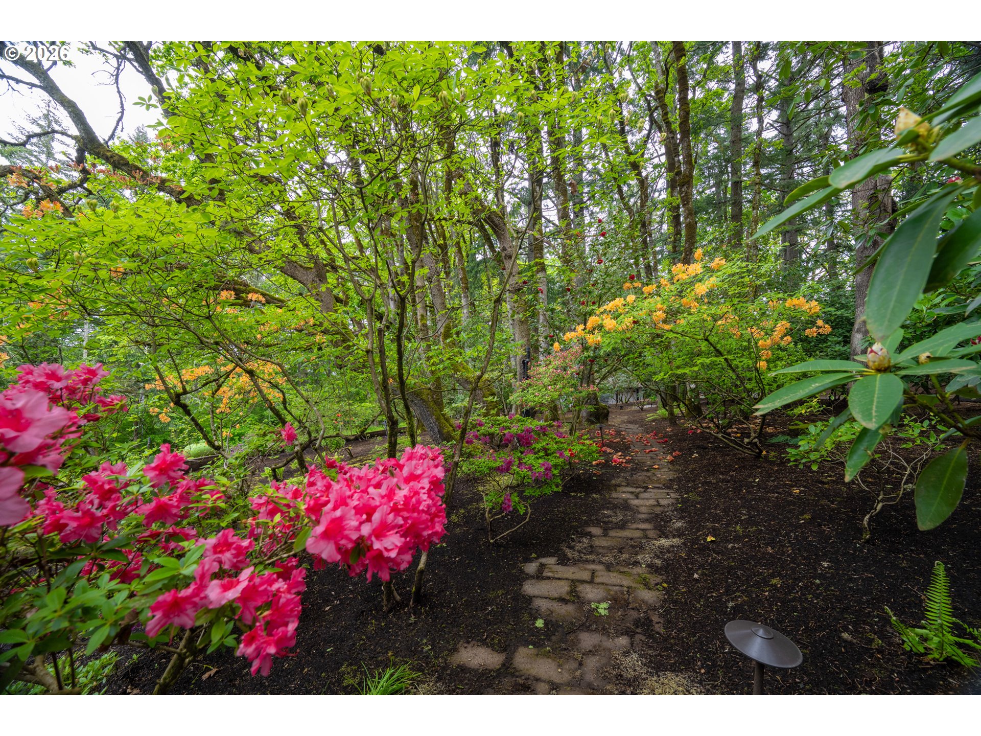 3187 ORCHARD HEIGHTS RD NW