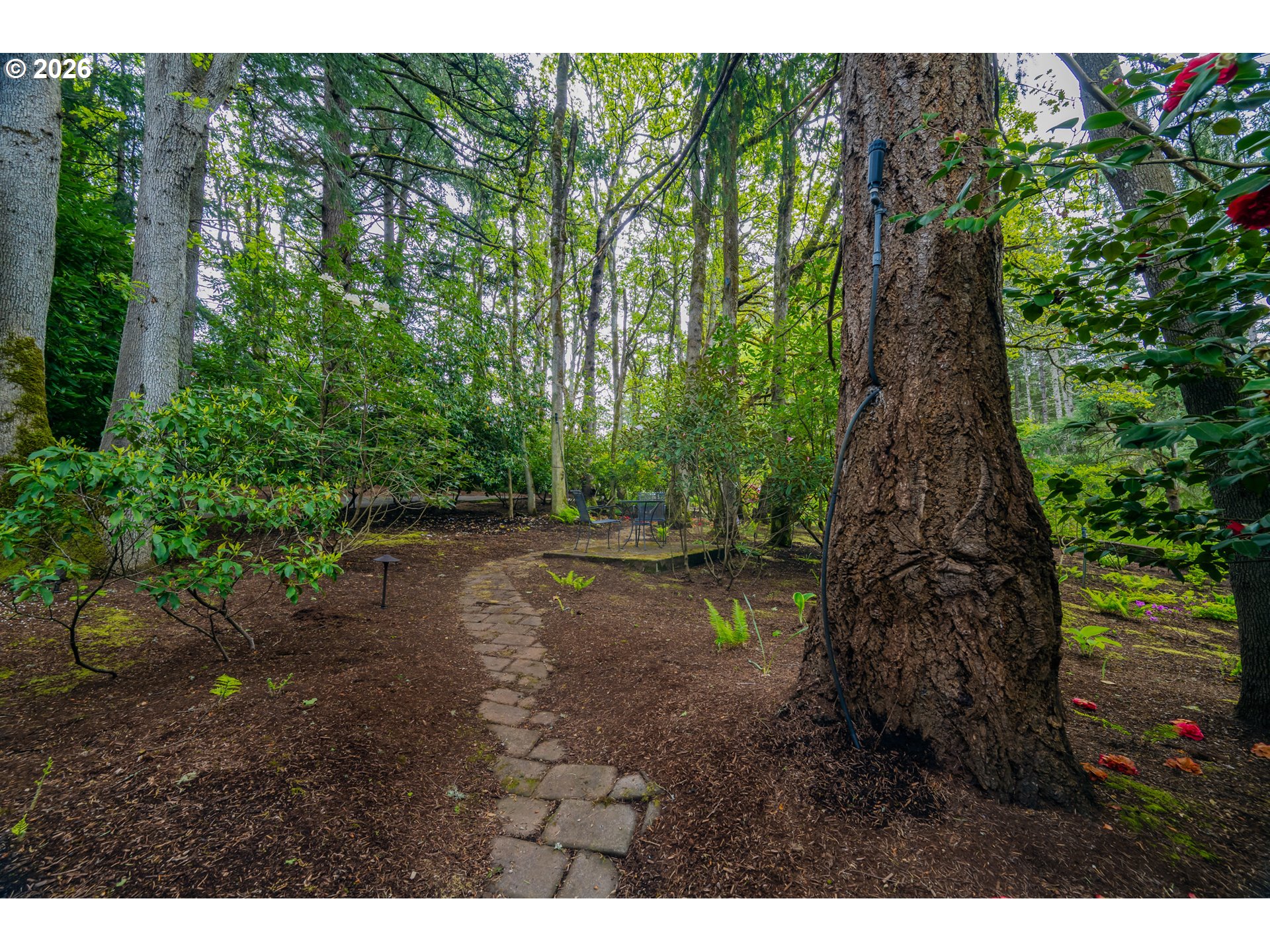 3187 ORCHARD HEIGHTS RD NW