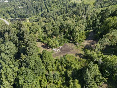 110 N BURKE RD 2 Woodland WA 98674