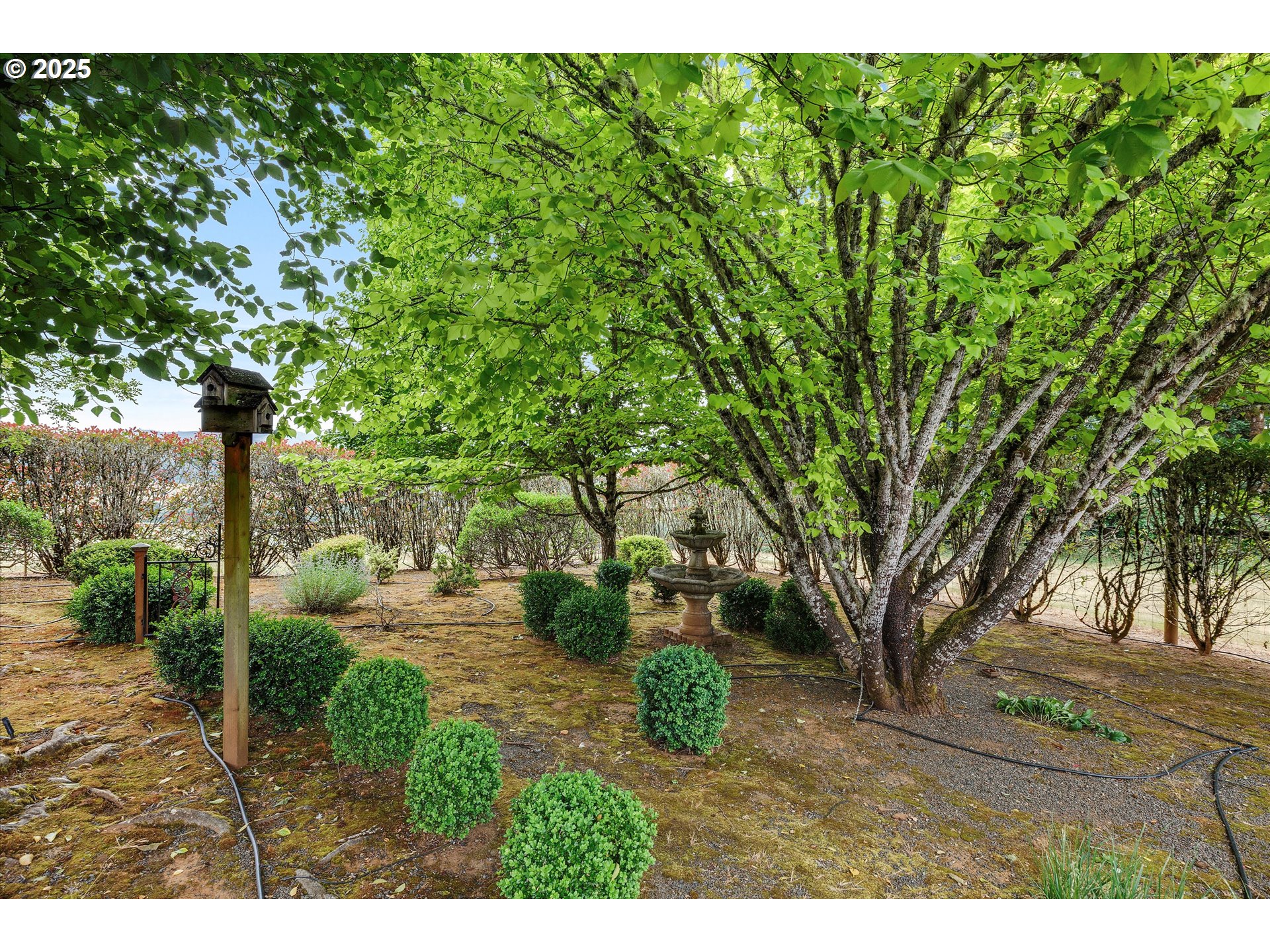 Monmouth, Oregon 97361, United States, 3 Bedrooms Bedrooms, ,2 BathroomsBathrooms,Residential,Active,161744