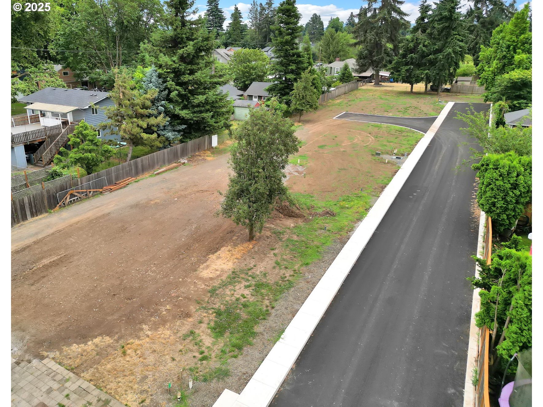 Sprig LN Lot 6