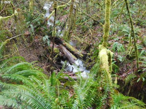 Reid RD Scappoose OR 97056