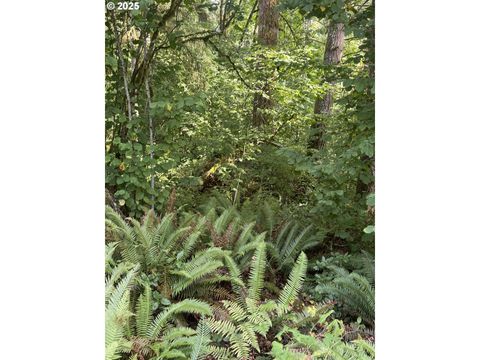 339th ST La Center WA 98629