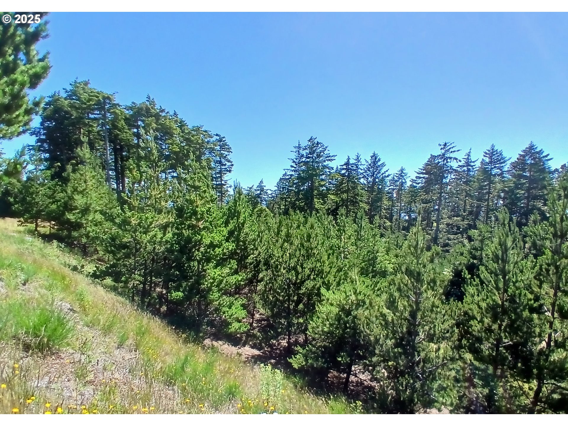 Oceanside, Oregon 97134, United States, ,Land,Active,116328