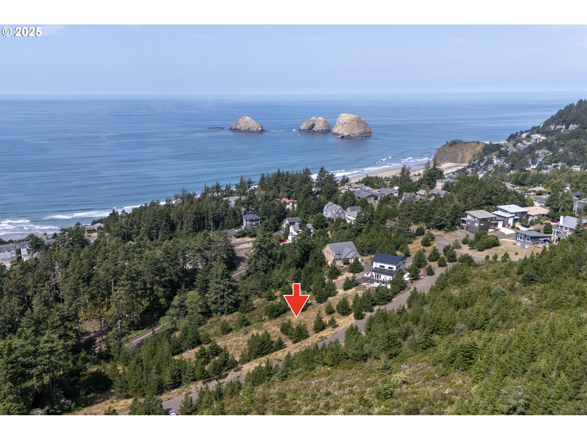 Oceanside, Oregon 97134, United States, ,Land,Active,116328