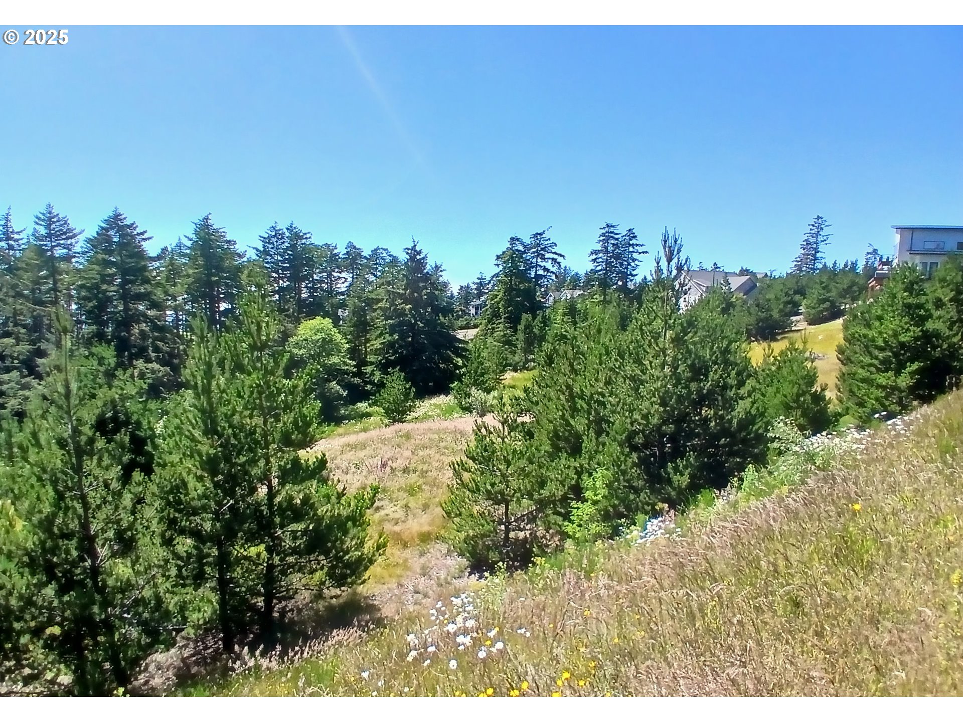 Oceanside, Oregon 97134, United States, ,Land,Active,116328