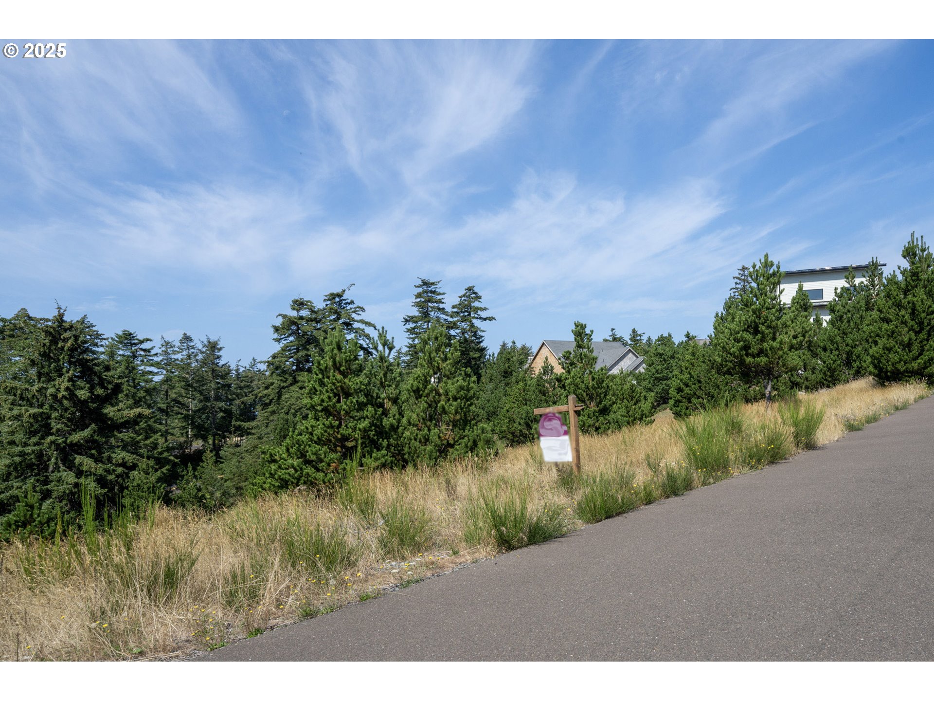 Oceanside, Oregon 97134, United States, ,Land,Active,116328