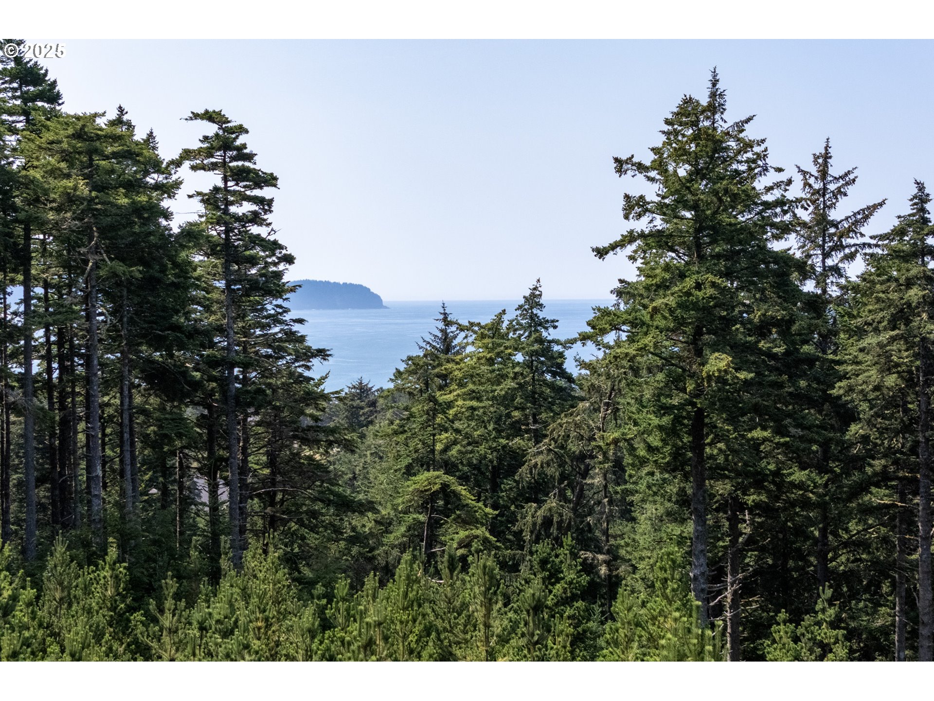 Oceanside, Oregon 97134, United States, ,Land,Active,116328