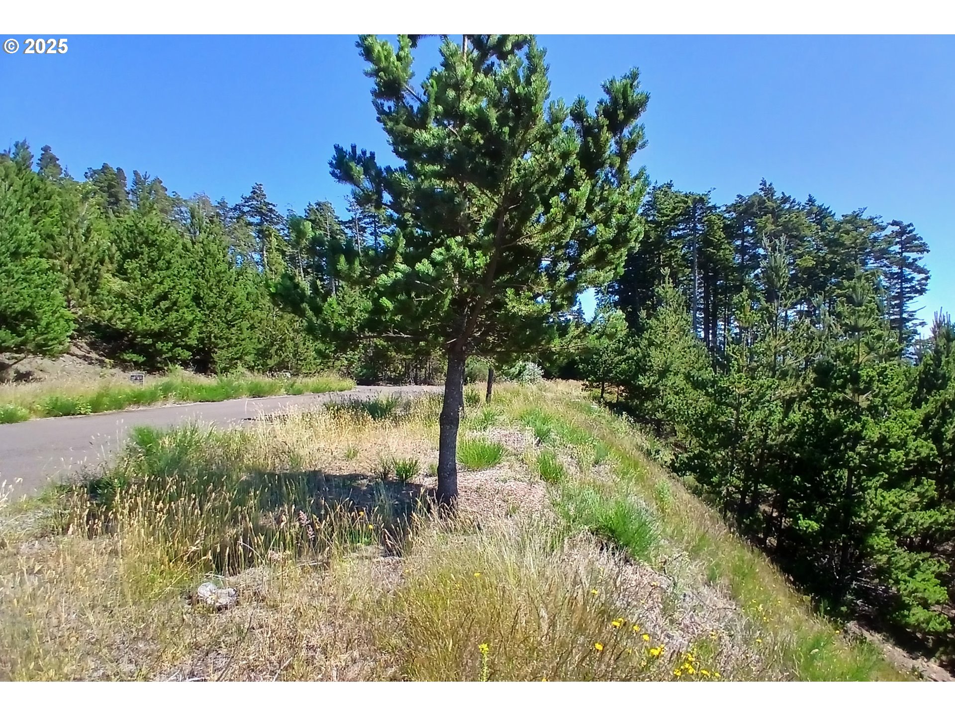 Oceanside, Oregon 97134, United States, ,Land,Active,116328