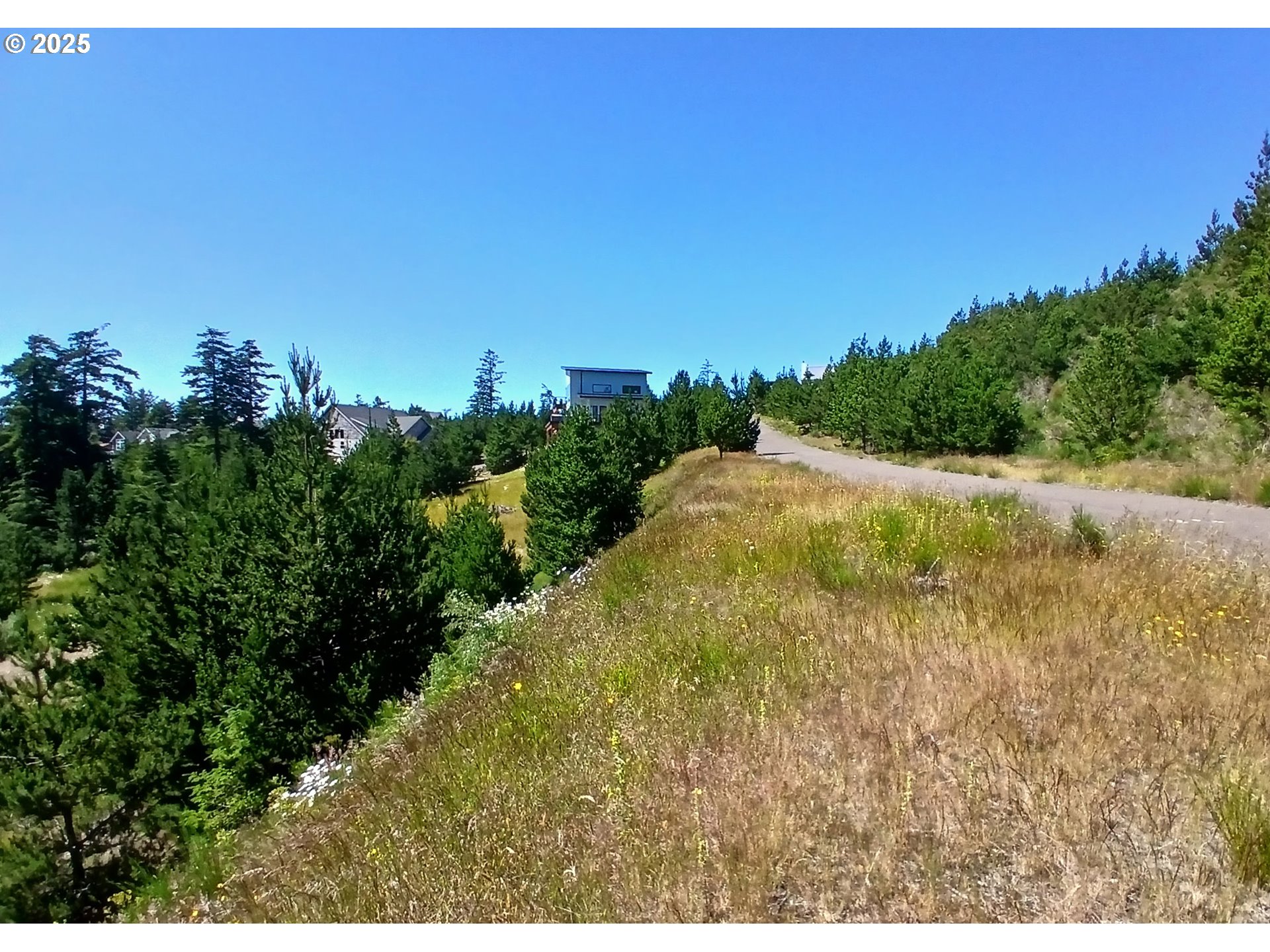 Oceanside, Oregon 97134, United States, ,Land,Active,116328