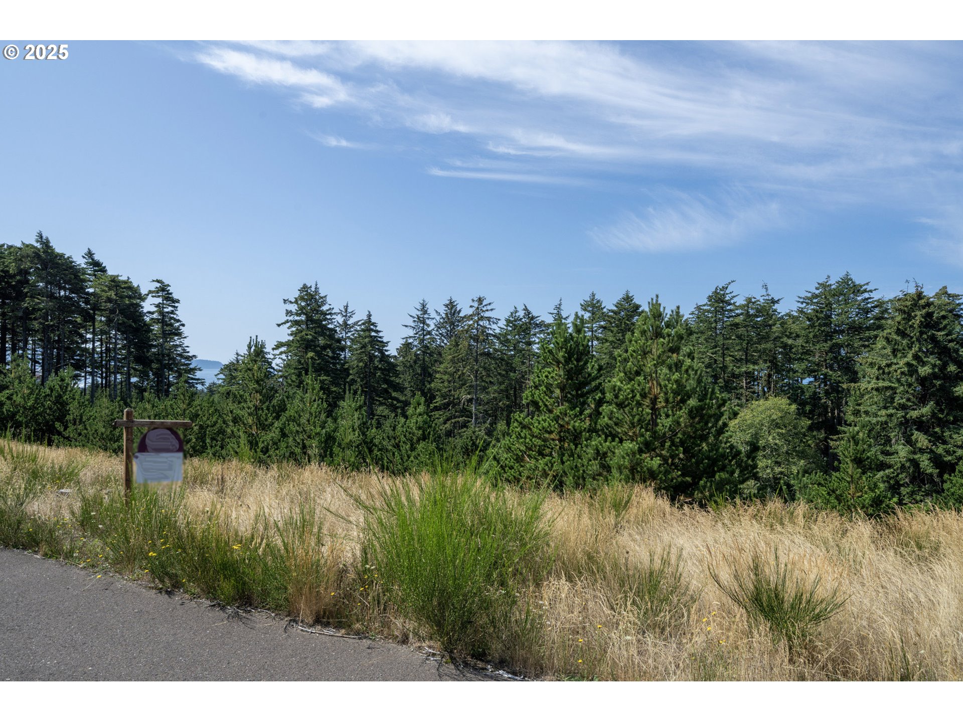 Oceanside, Oregon 97134, United States, ,Land,Active,116328