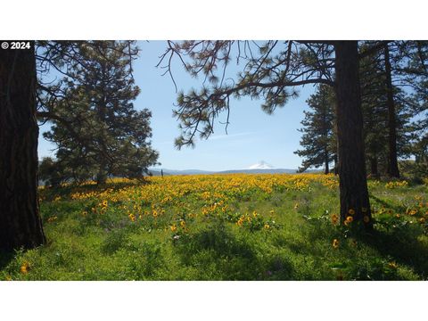 A home in The Dalles