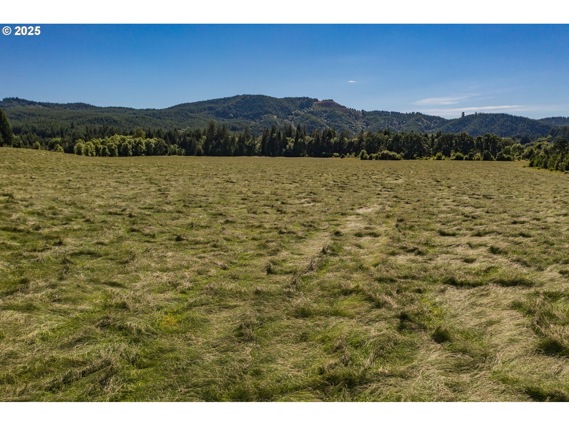 Philomath, Oregon 97370, United States, 4 Bedrooms Bedrooms, ,1 BathroomBathrooms,Residential,Active,117378