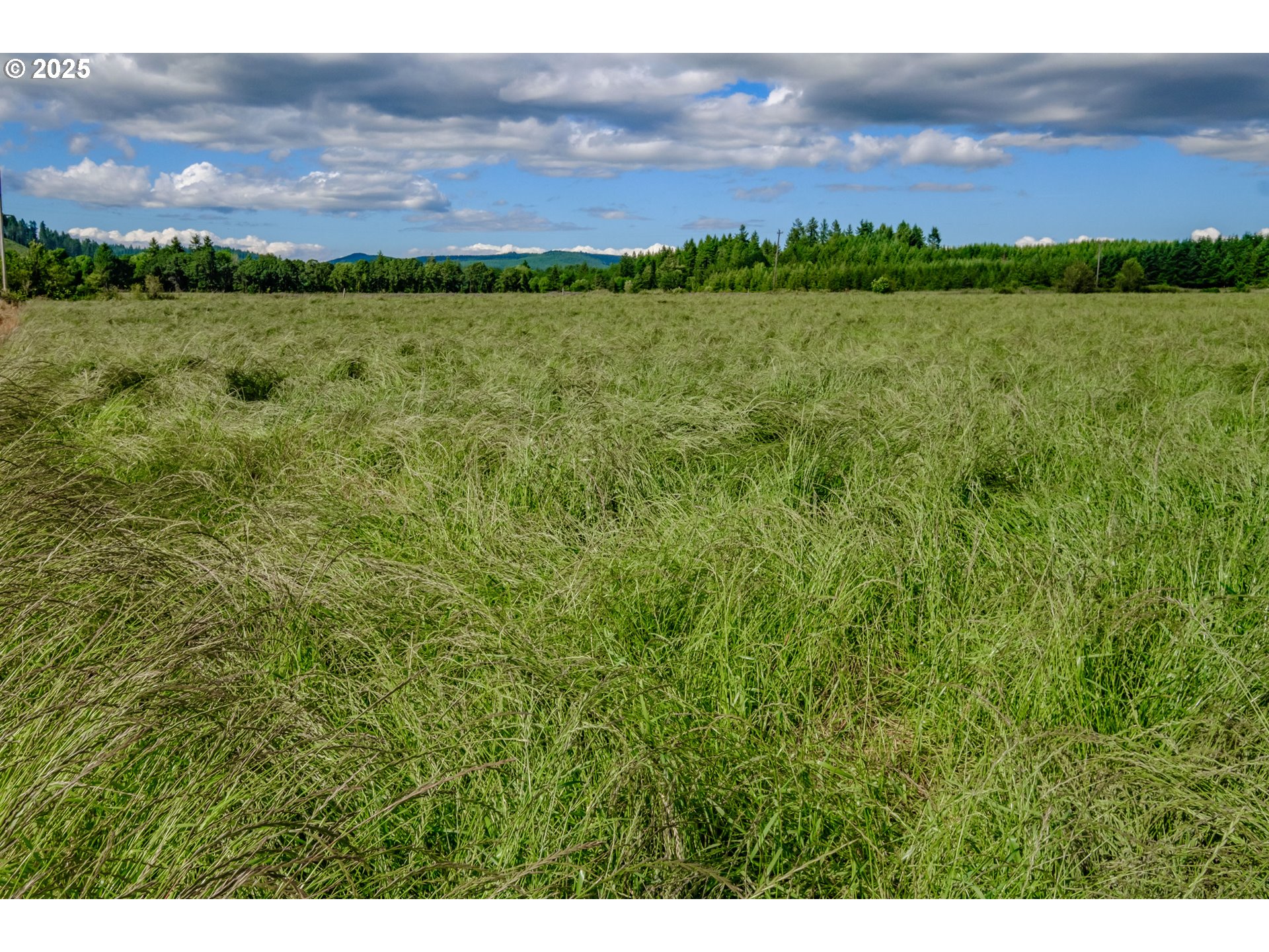 Philomath, Oregon 97370, United States, 4 Bedrooms Bedrooms, ,1 BathroomBathrooms,Residential,Active,117378