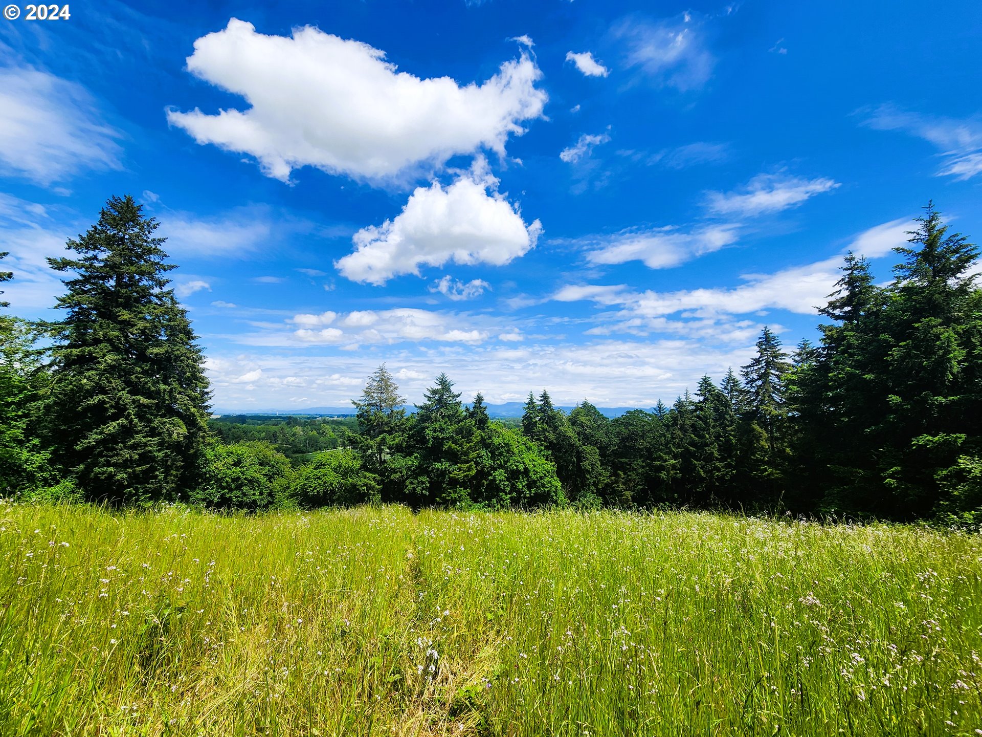 Applegate Trail 307