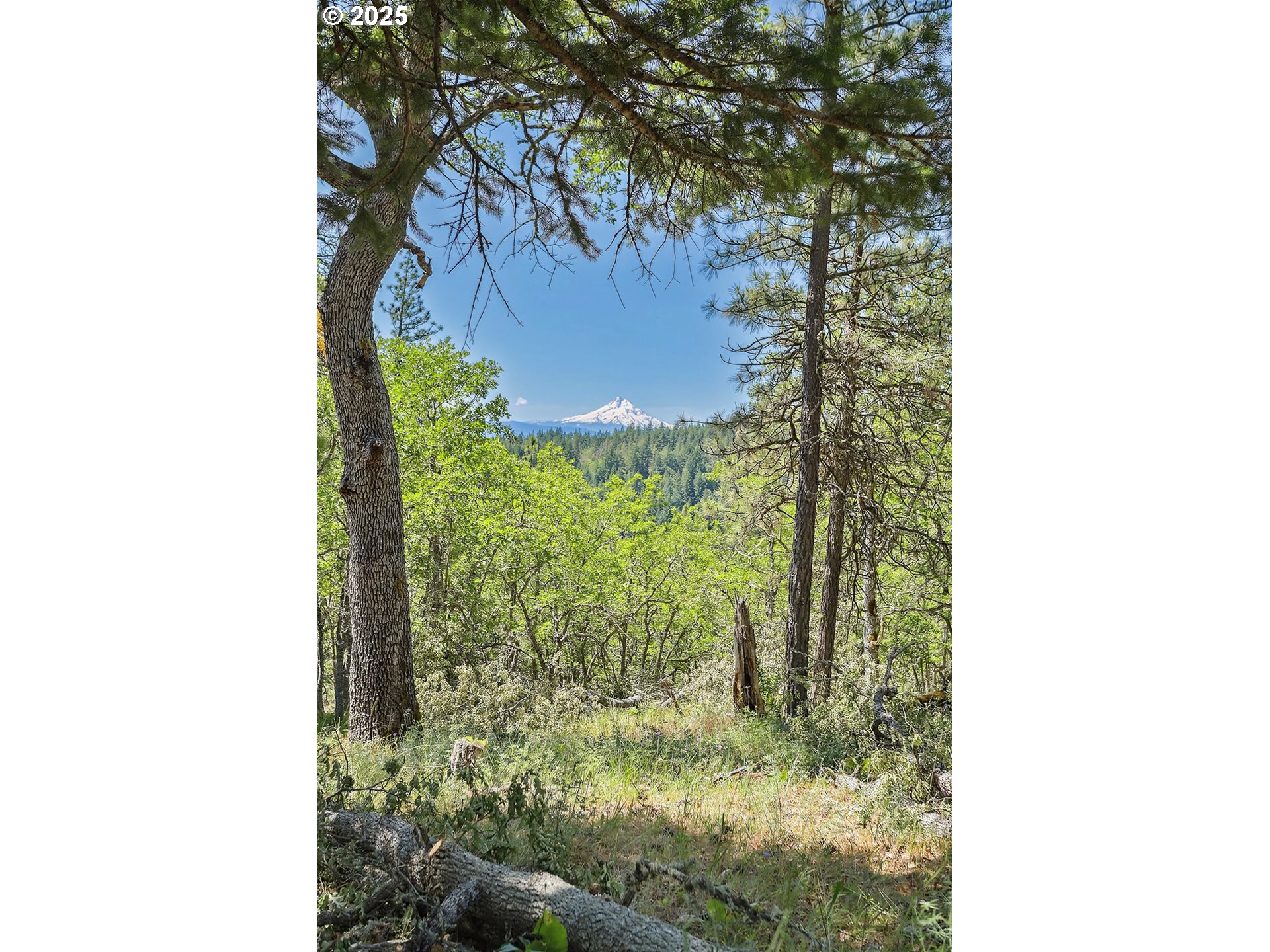 Oak Knoll Ridge RD 11