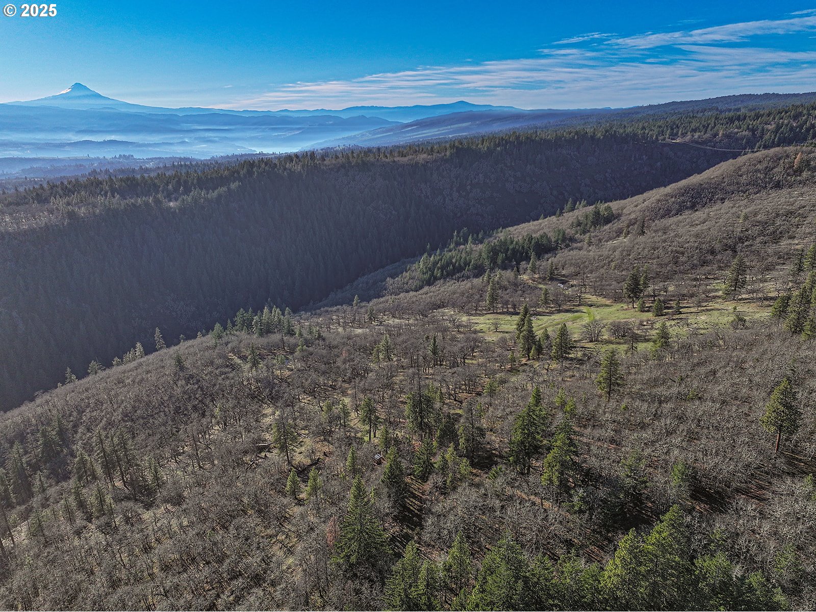 Oak Knoll Ridge RD 11