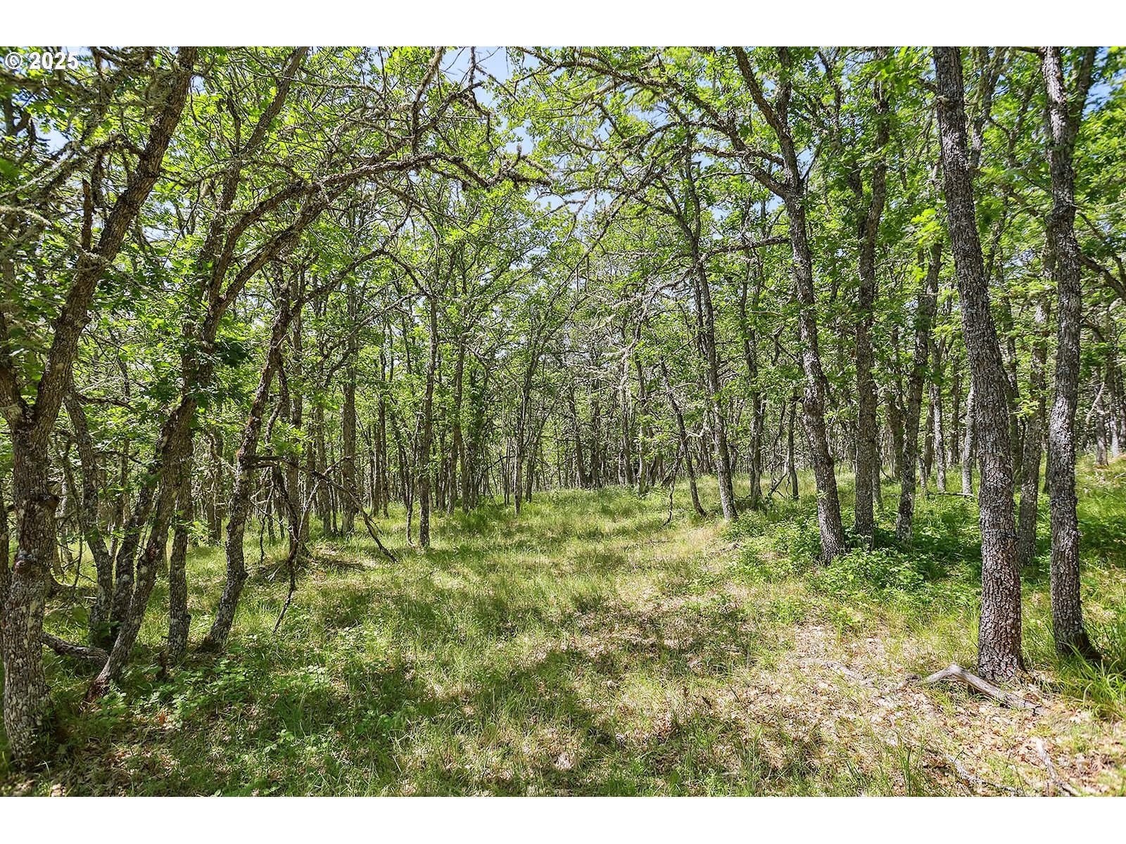 Oak Knoll Ridge RD 11