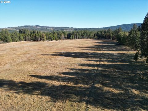 Lakeside RD Lot 1 Glenwood WA 98619