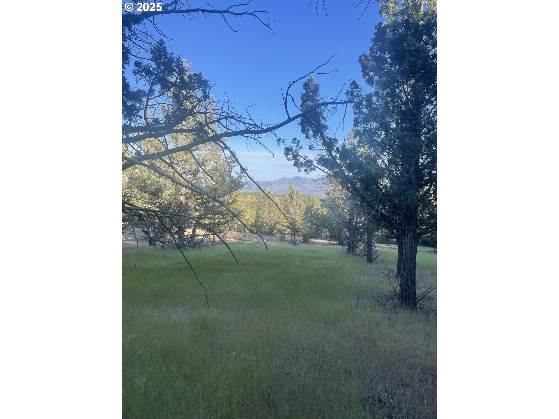 0 Wiley Creek RD