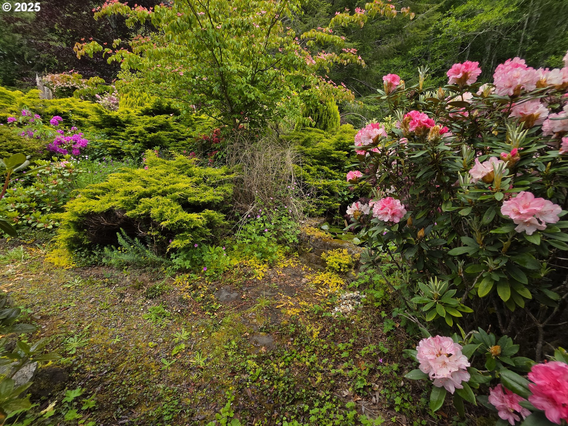 Nehalem, Oregon 97131, United States, 3 Bedrooms Bedrooms, ,3 BathroomsBathrooms,Residential,Active,143675
