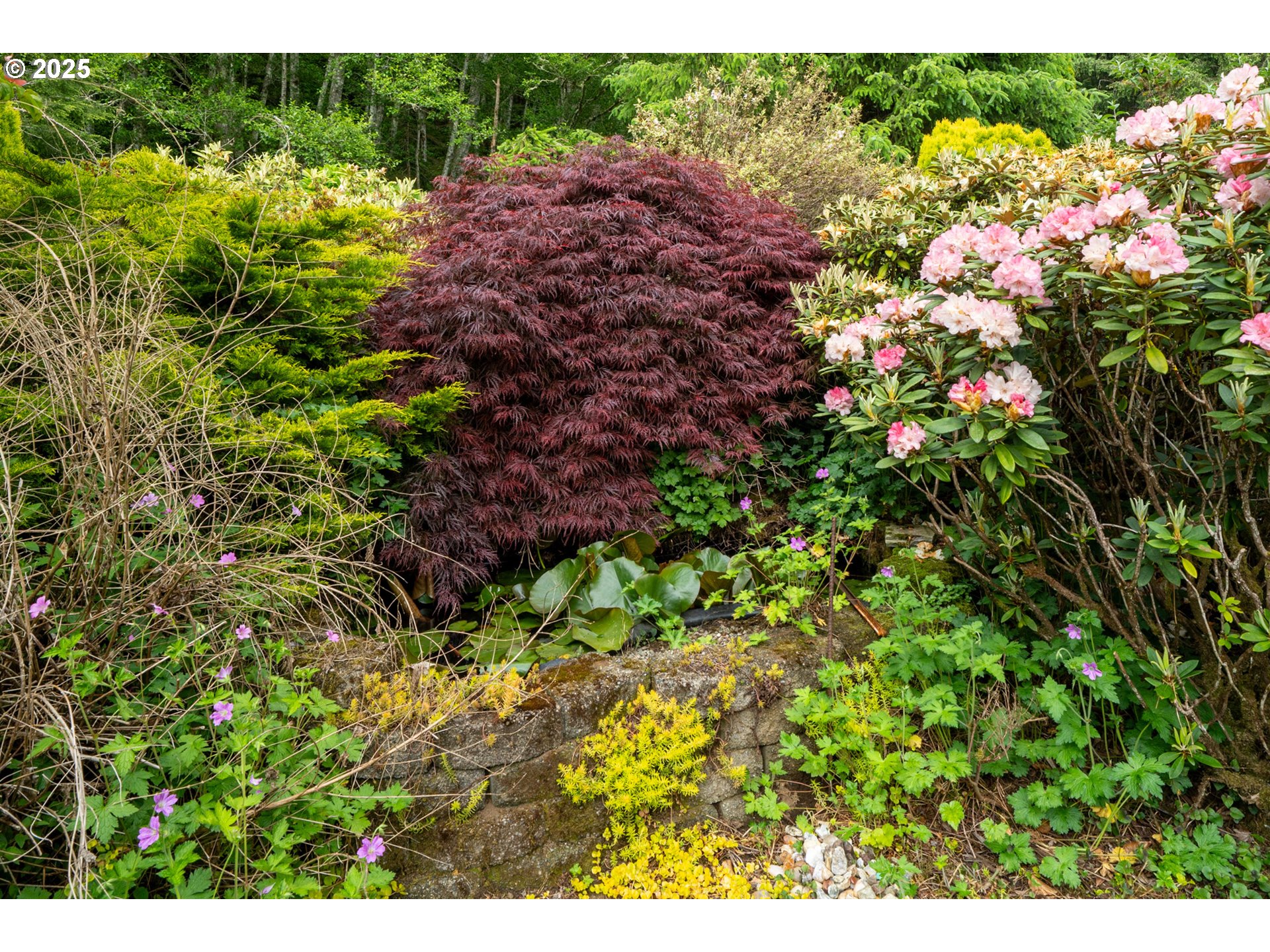 Nehalem, Oregon 97131, United States, 3 Bedrooms Bedrooms, ,3 BathroomsBathrooms,Residential,Active,143675