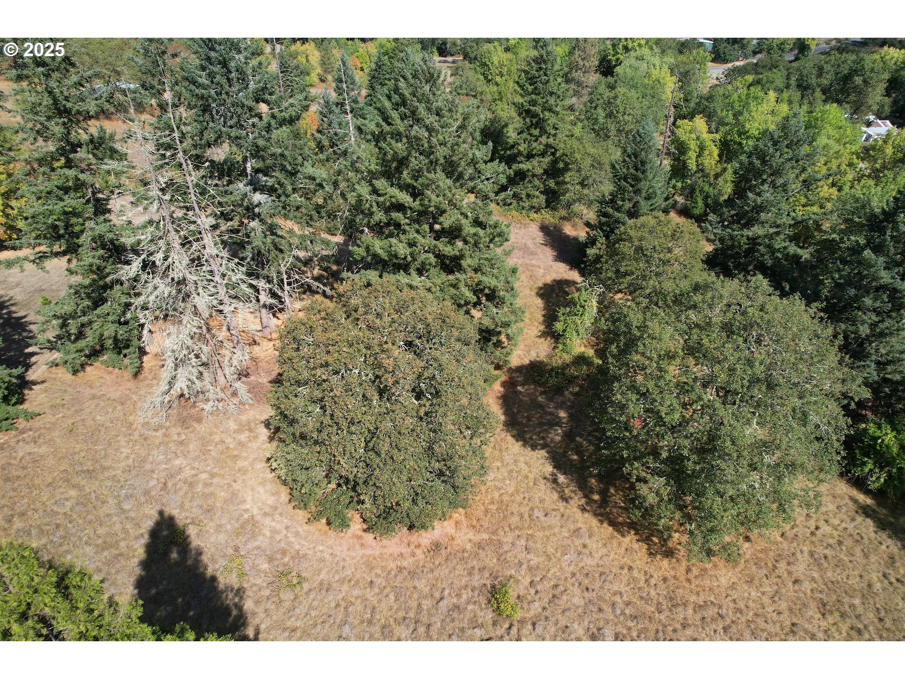 1954 GLENGARY LOOP RD