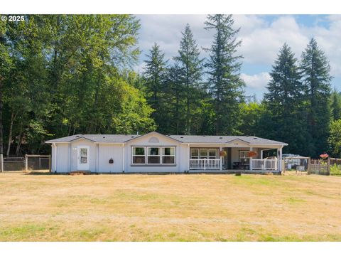308 SADDLE RD Amboy WA 98601