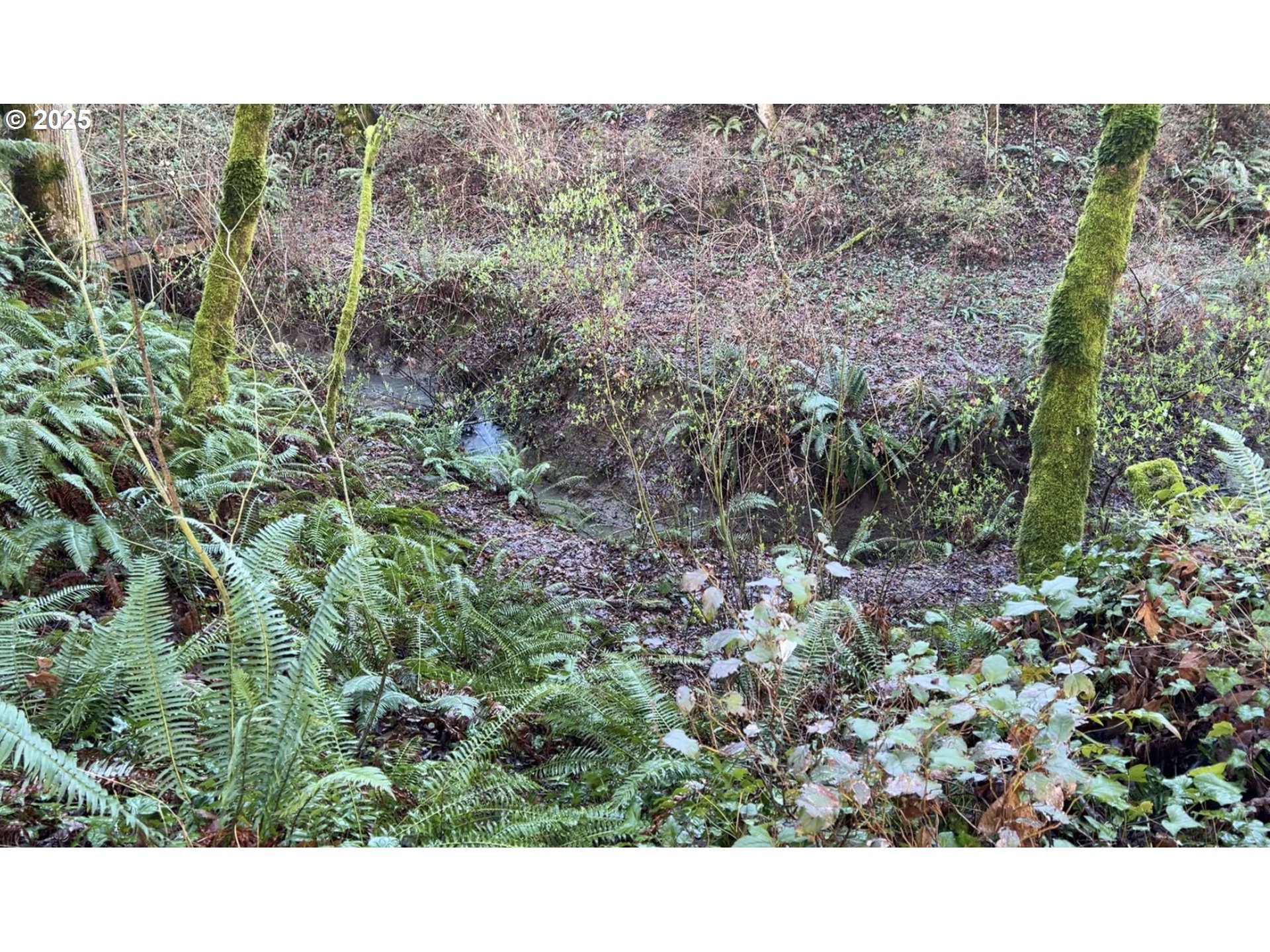 Tigard, Oregon 97223, United States, ,Land,Active,123782