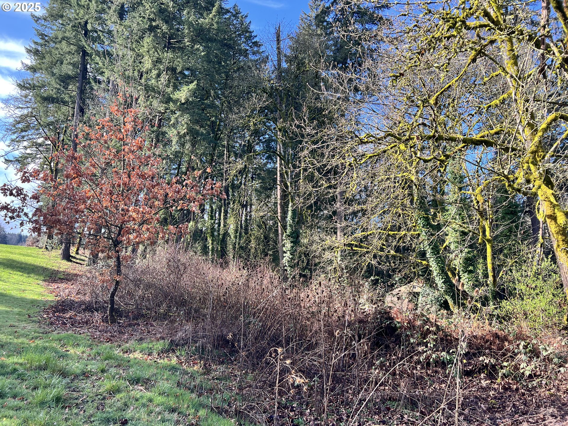 Tigard, Oregon 97223, United States, ,Land,Active,123782