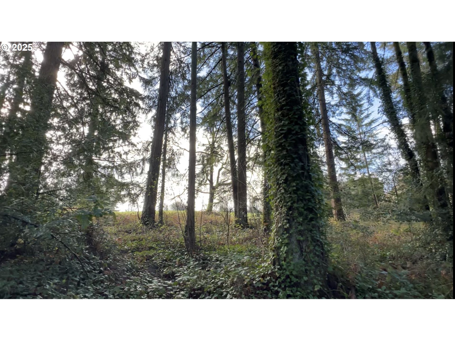 Tigard, Oregon 97223, United States, ,Land,Active,123782