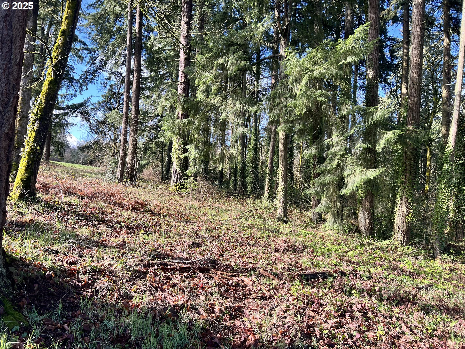 Tigard, Oregon 97223, United States, ,Land,Active,123782