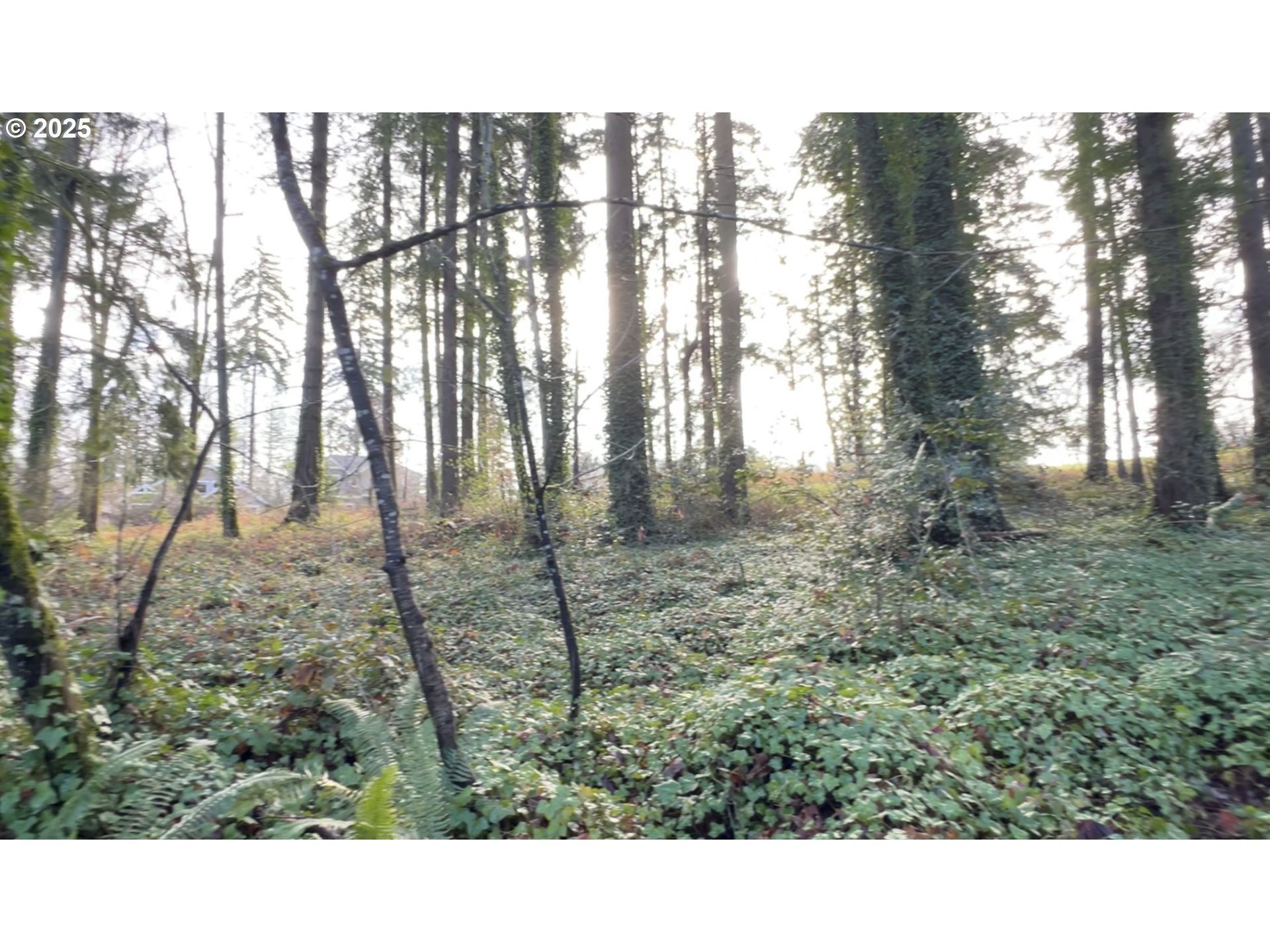 Tigard, Oregon 97223, United States, ,Land,Active,123782