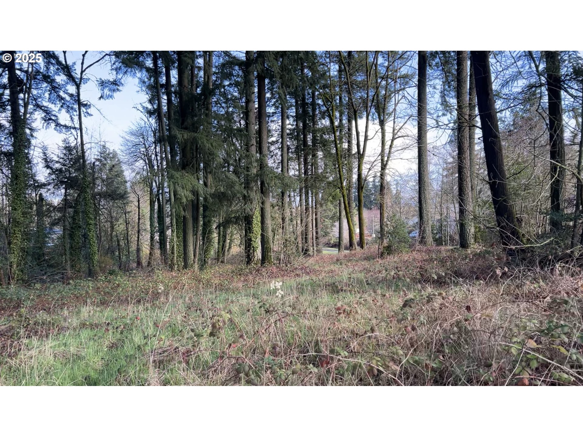 Tigard, Oregon 97223, United States, ,Land,Active,123782