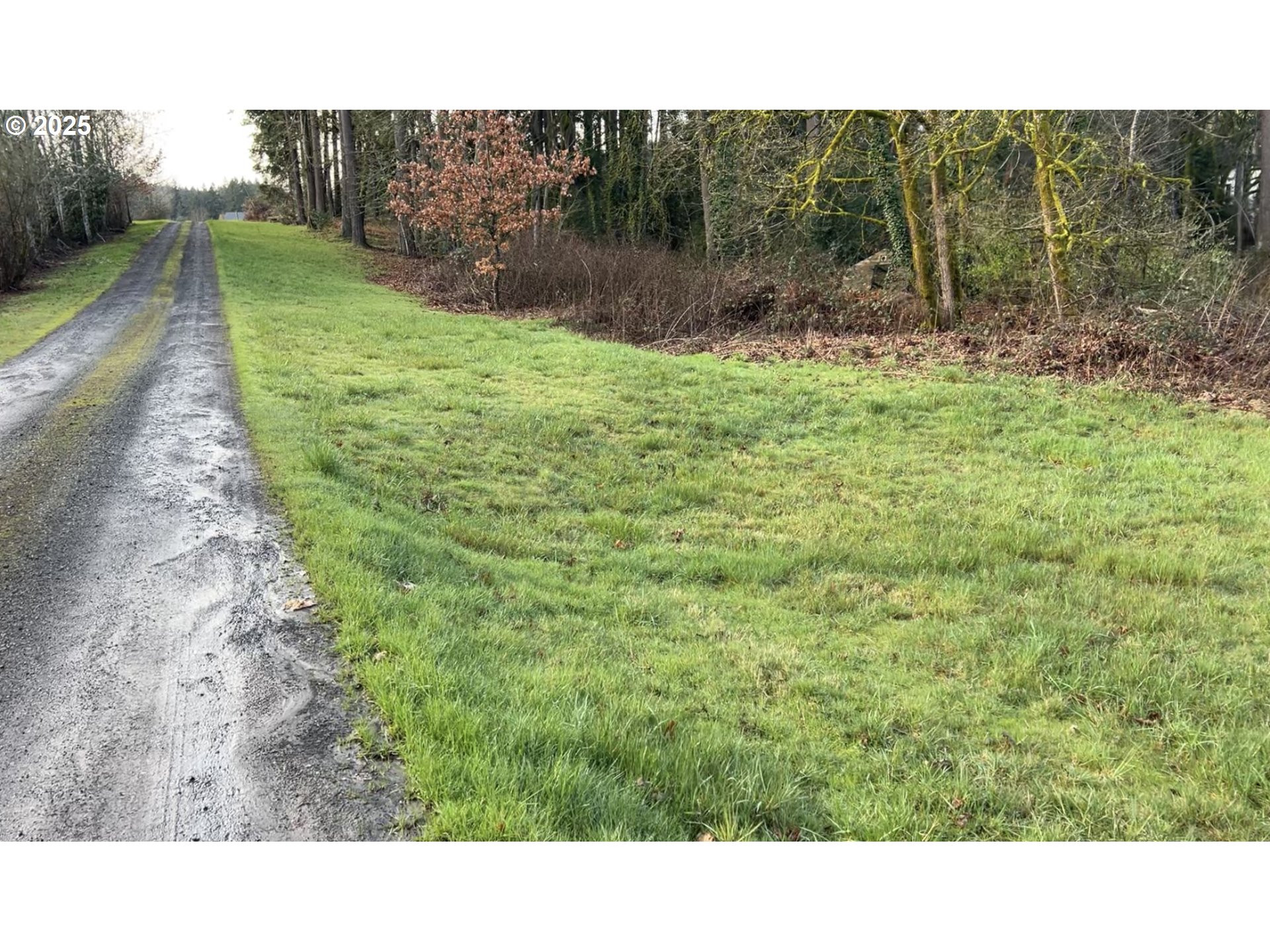 Tigard, Oregon 97223, United States, ,Land,Active,123782