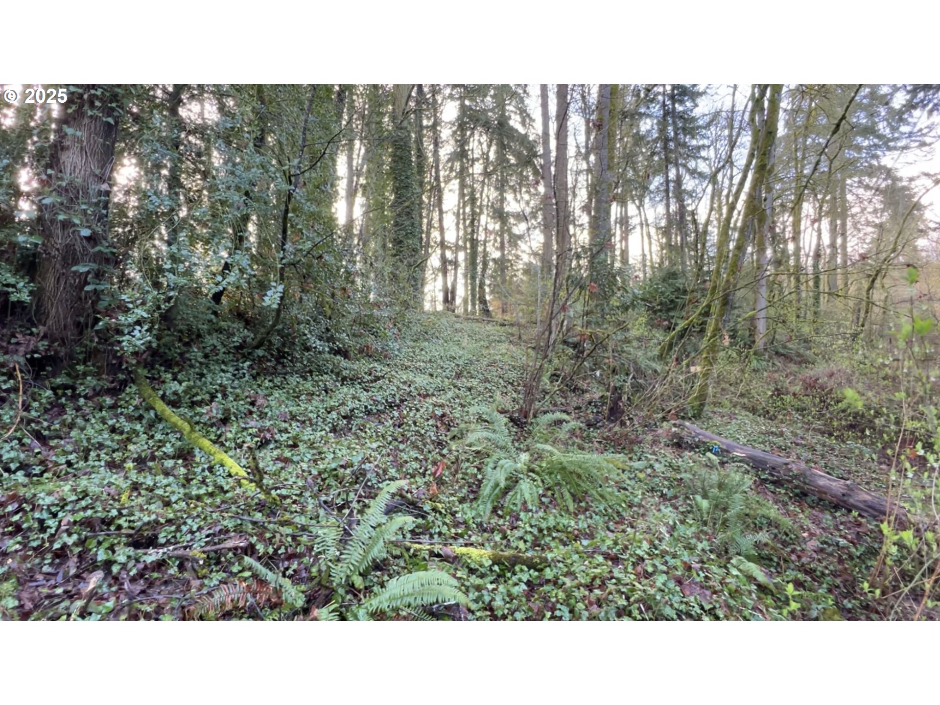 Tigard, Oregon 97223, United States, ,Land,Active,123782