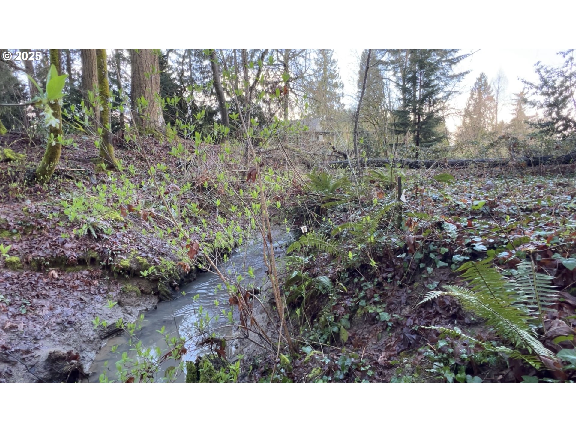 Tigard, Oregon 97223, United States, ,Land,Active,123782