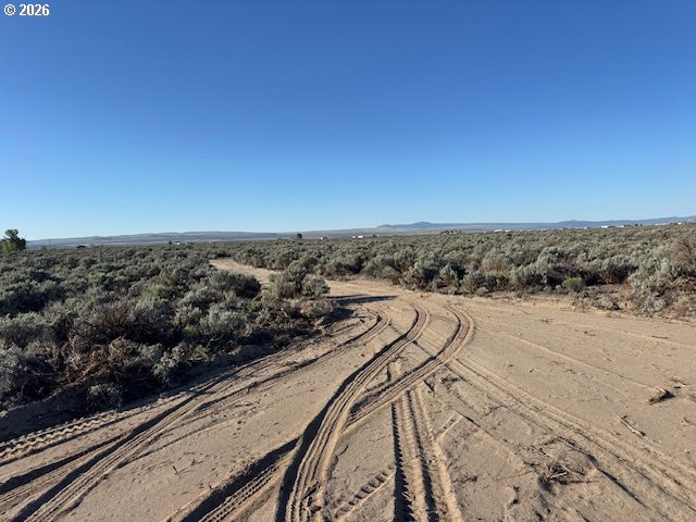 Bark Loop 3000