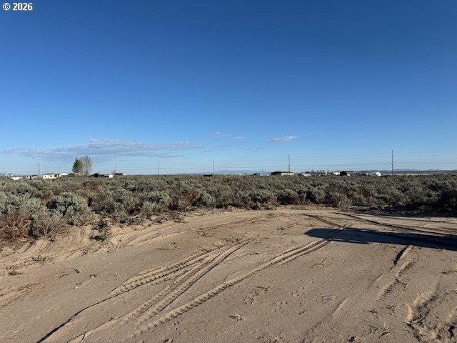 Bark Loop 3000