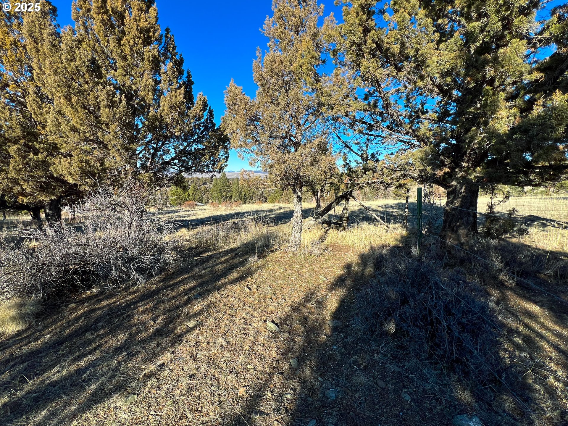Edgewood DR