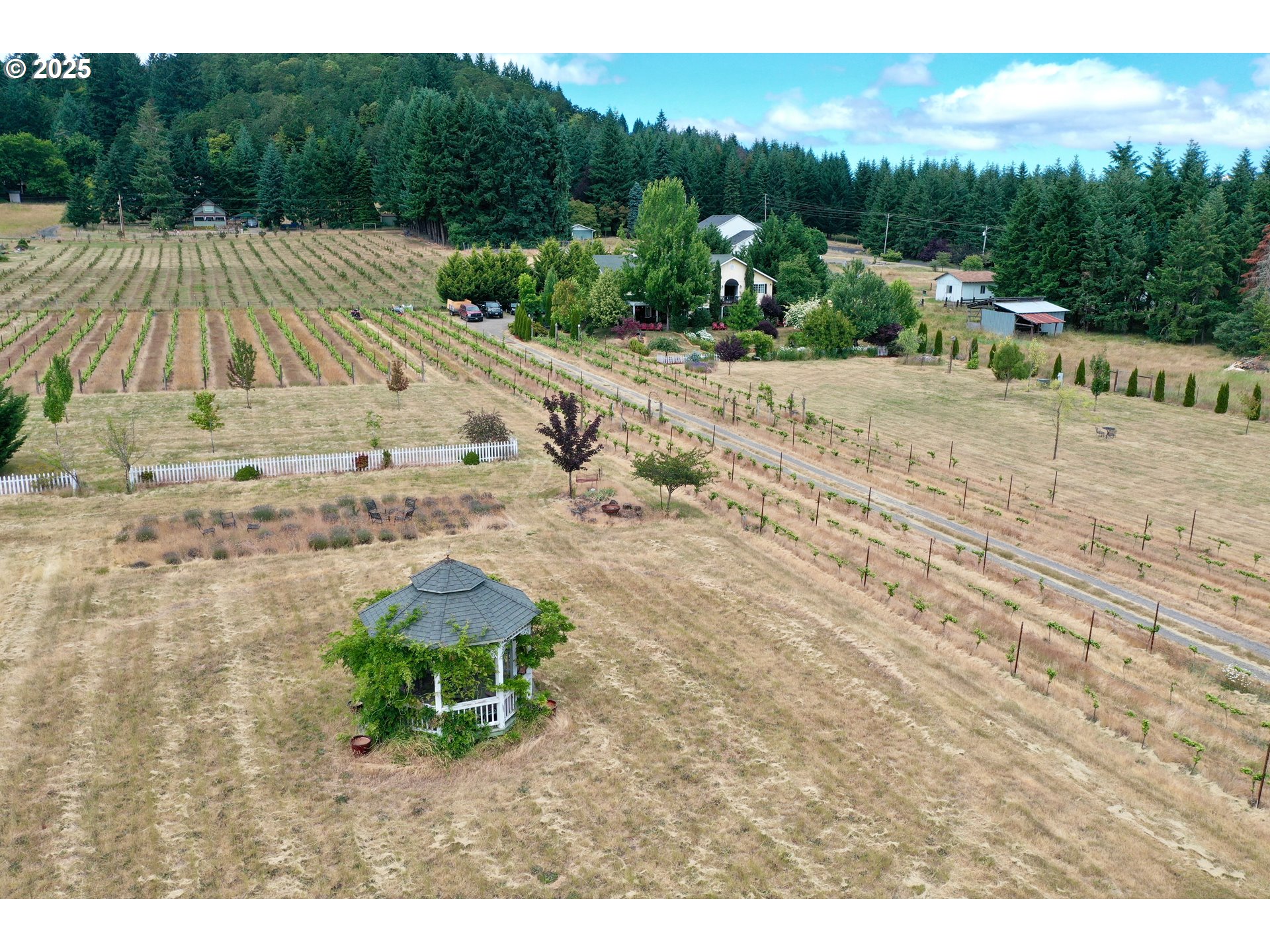 24880 ORCHARD TRACT RD