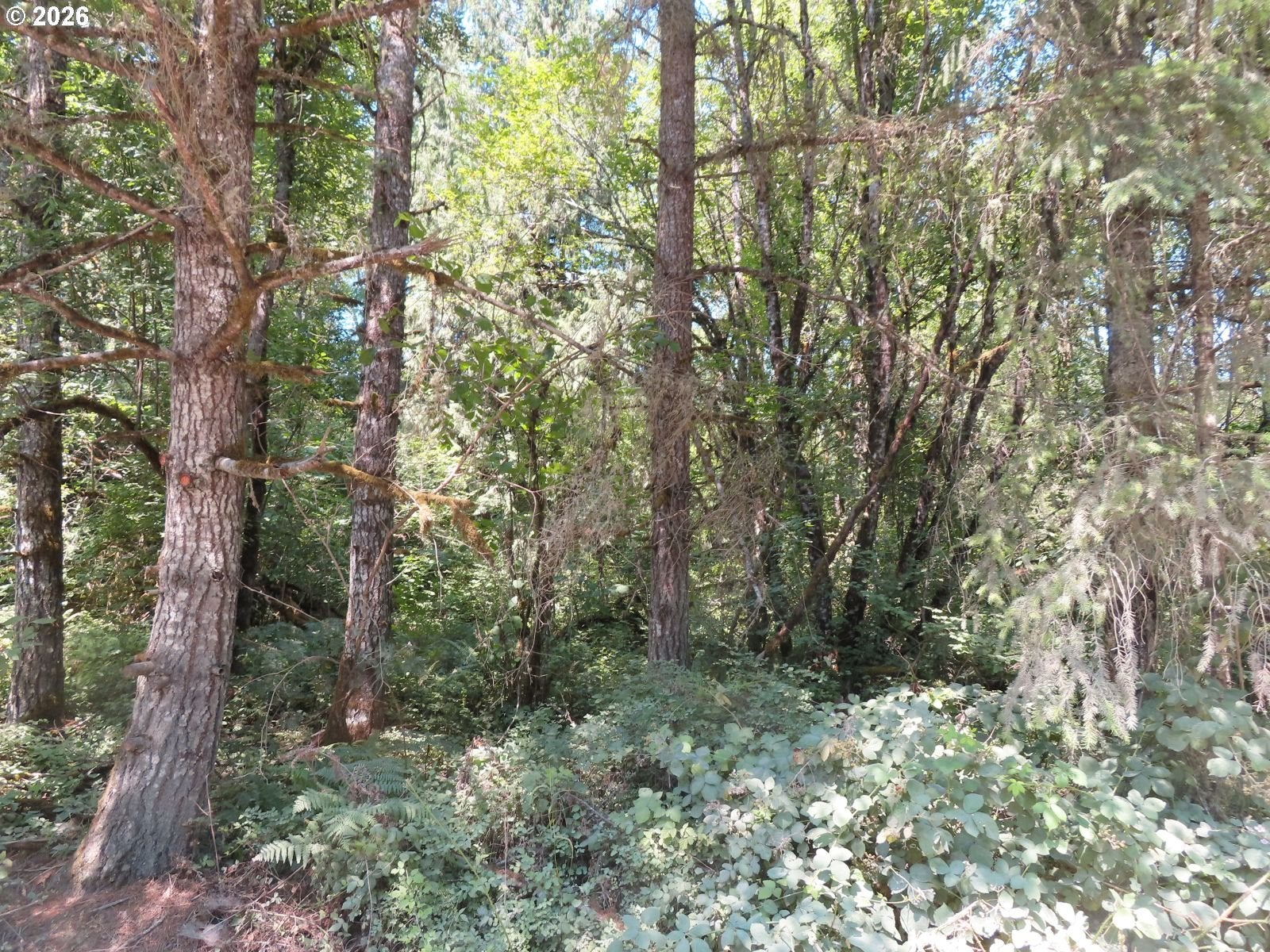 115 CAMPGROUND LN
